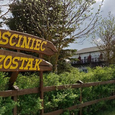 Gosciniec Szostak Villa Czarnowka Luaran gambar