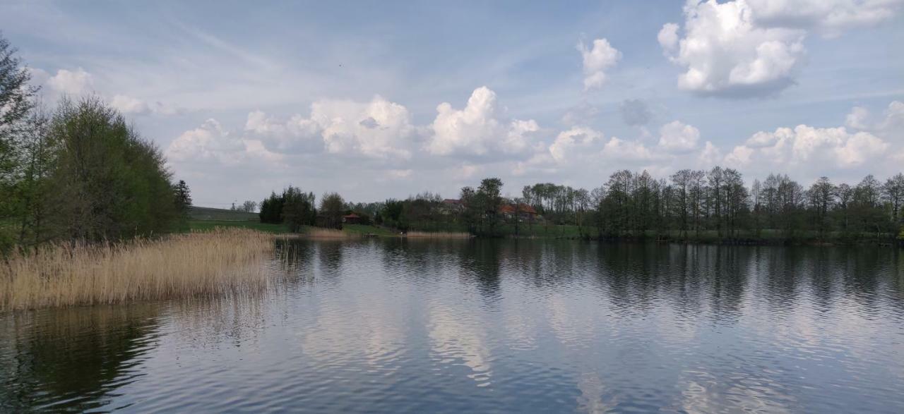 Gosciniec Szostak Villa Czarnowka Luaran gambar